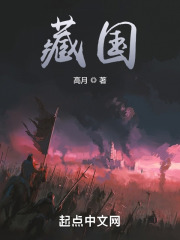 高月小说藏国正版